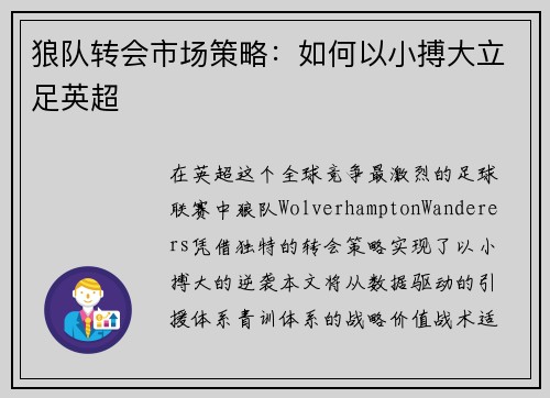 狼队转会市场策略：如何以小搏大立足英超