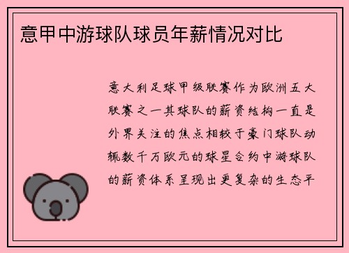 意甲中游球队球员年薪情况对比